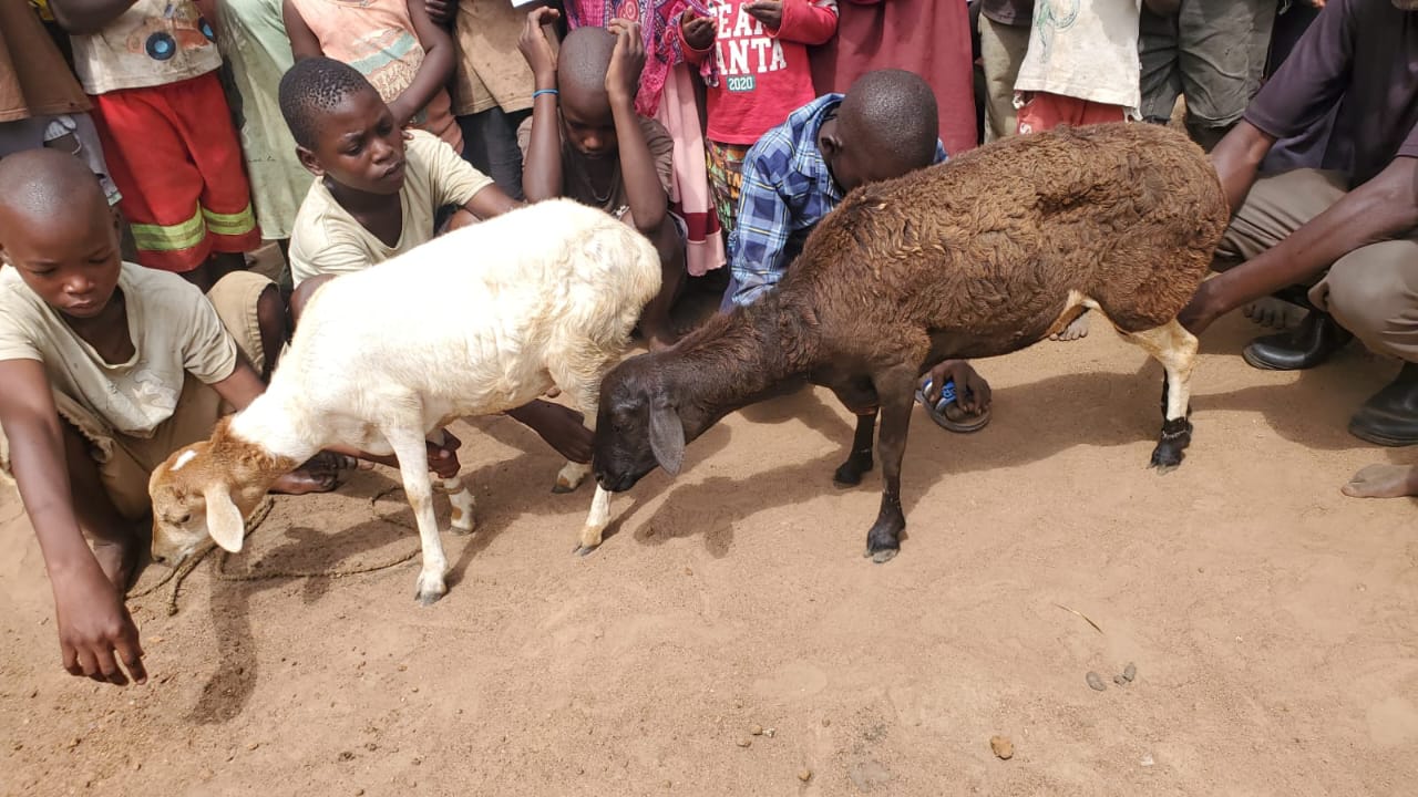 Al-Sharifu Charity Work - Image 29