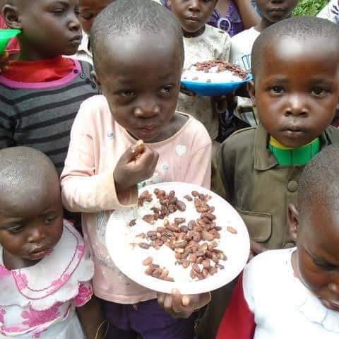 Al-Sharifu Charity Work - Image 7